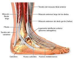 lesion de tobillo